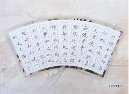 8608520014