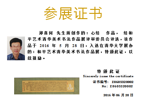 Z8605320002